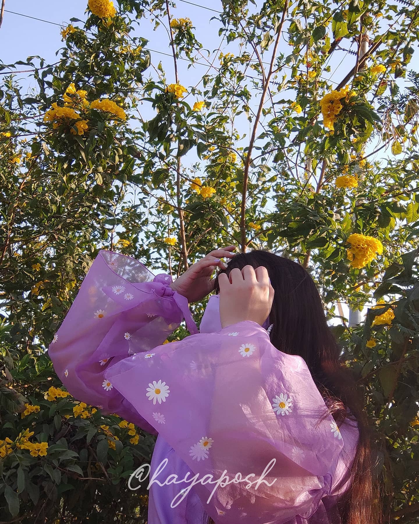 Daisy Top - HayaPosh Top #
