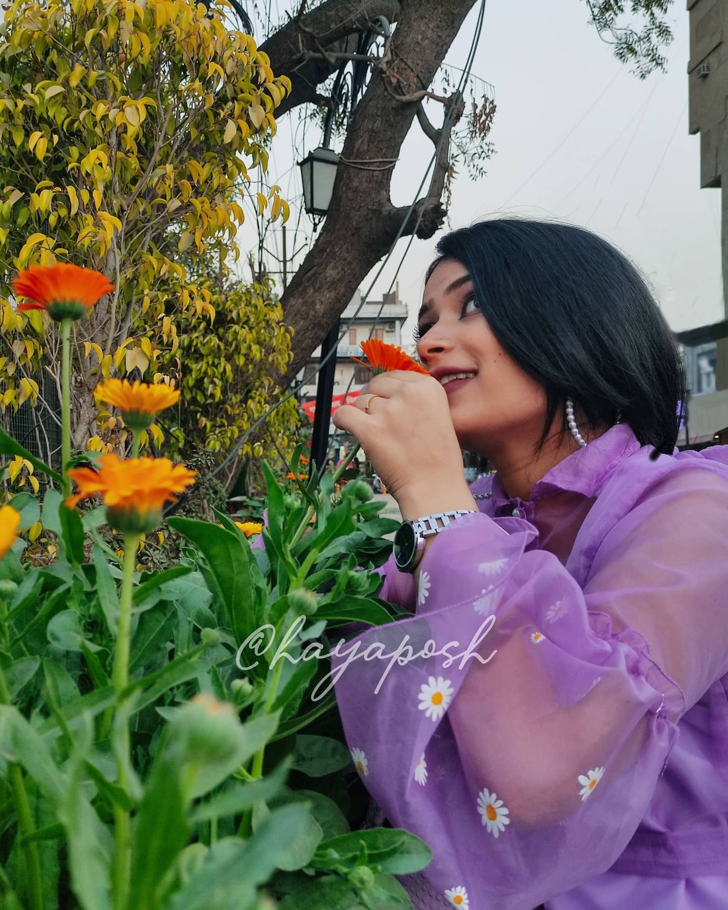 Daisy Top - HayaPosh Top #
