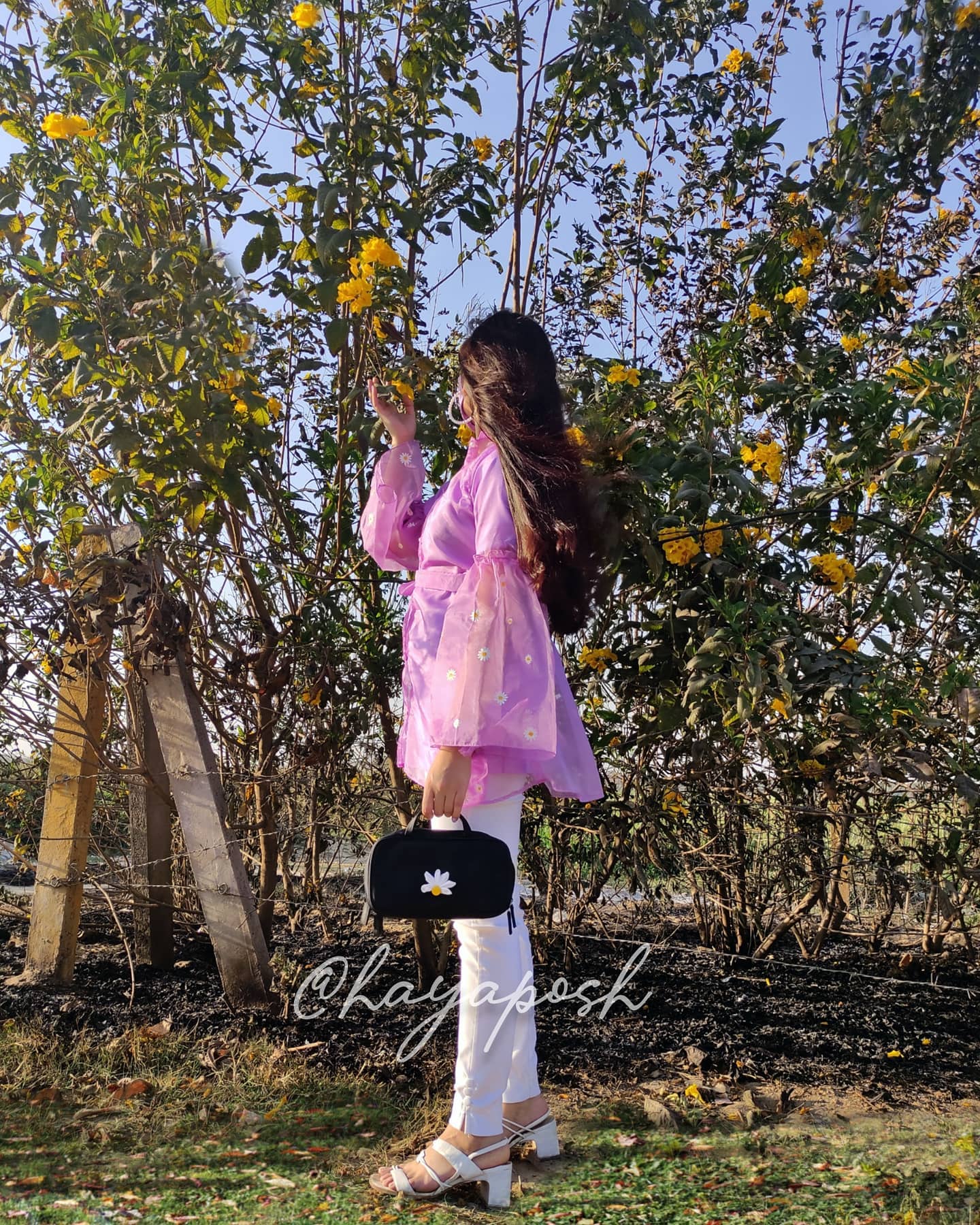 Daisy Top - HayaPosh Top #