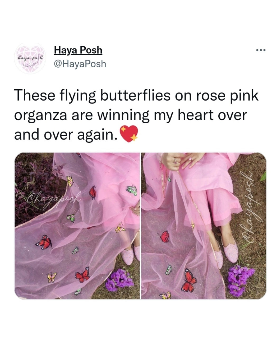 Butter Fly Paradise - HayaPosh Suit #