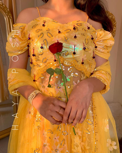 Belle - HayaPosh Lehenga #