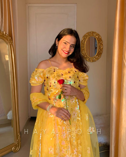 Belle - HayaPosh Lehenga #