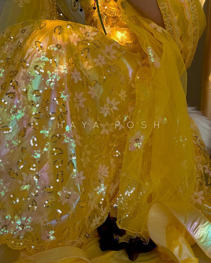 Belle - HayaPosh Lehenga #